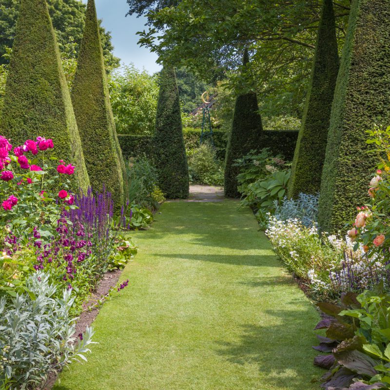 Visit |Wollerton Old Hall Garden: Renowned for its Salvias, Clematis ...