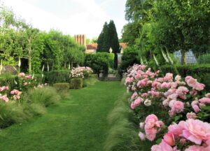 Pashley Manor Gardens rose walk