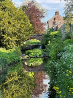 Morland House and gardens