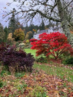 Logie House Garden