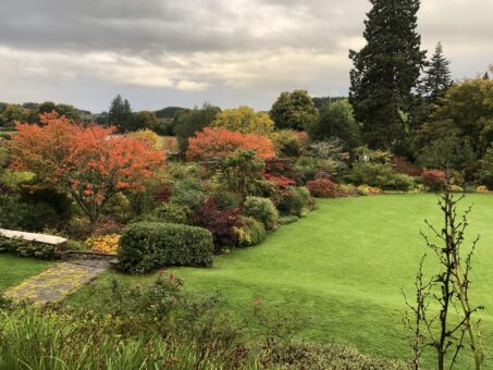 Logie House Garden